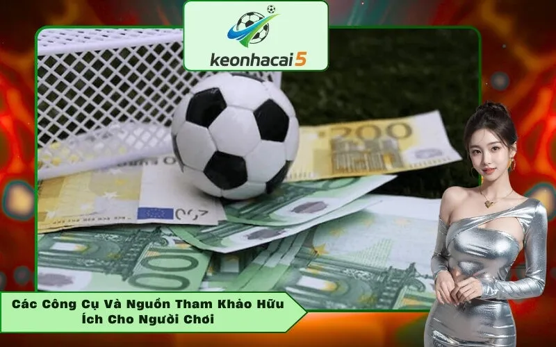 Các Công Cụ Và Nguồn Tham Khảo Hữu Ích Cho Người Chơi